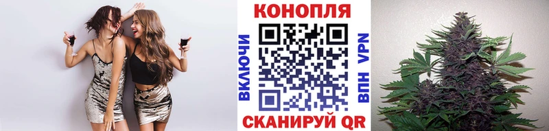 цена Дюртюли Бошки Шишки SATIVA & INDICA